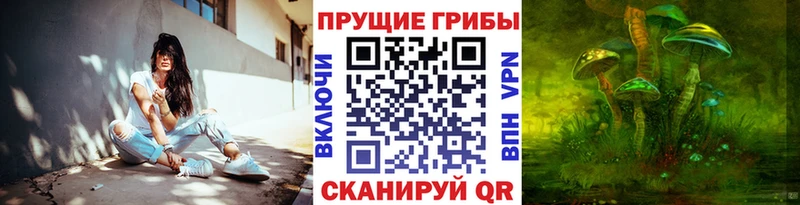 Псилоцибиновые грибы Psilocybine cubensis  Монино 